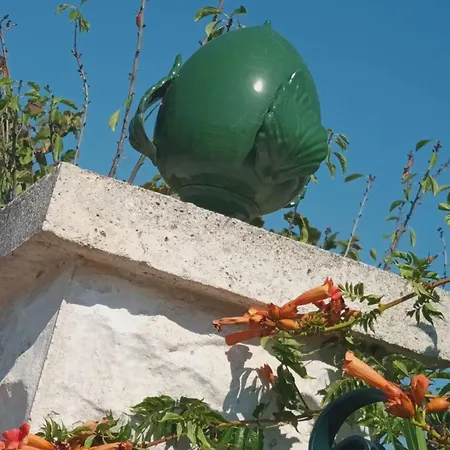 Prázdninový dům 2 Palme Martina Franca